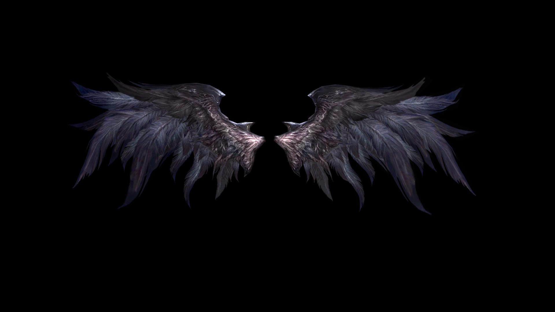三维翅膀动画视频的预览图