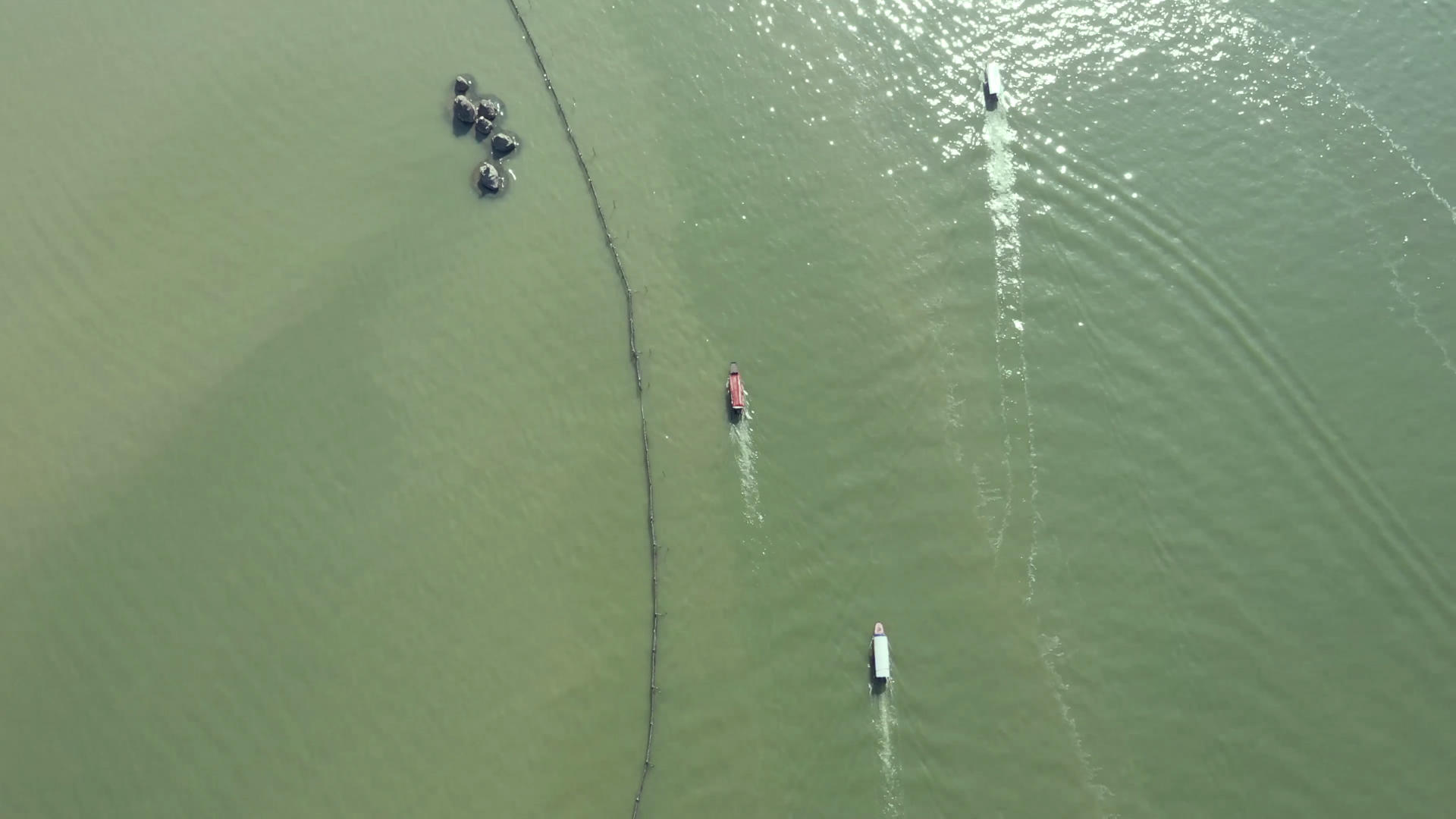 航拍武汉东湖上行驶中的船只4K高清视频视频的预览图