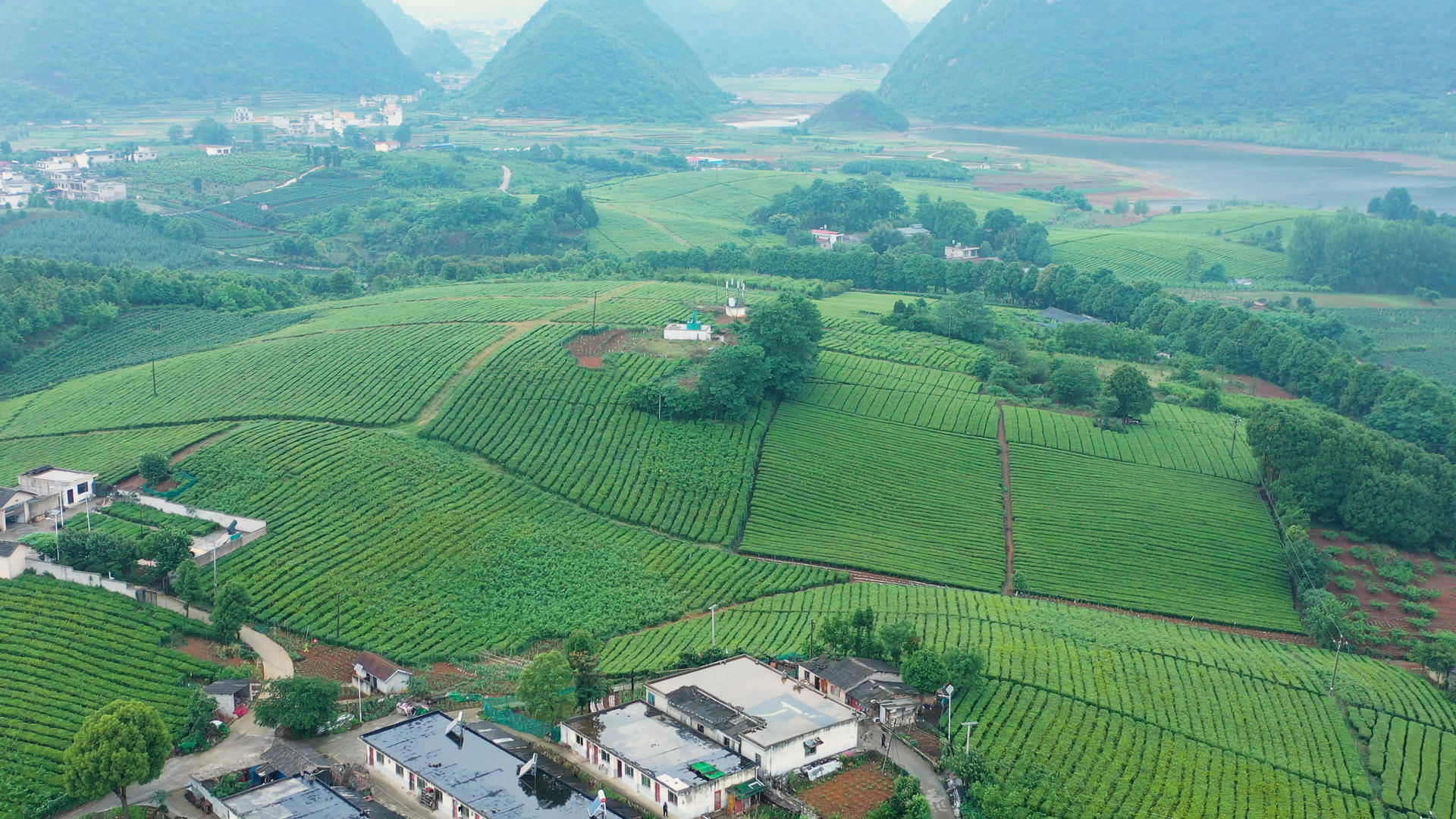 航拍4k贵州茶庄茶园素材视频的预览图