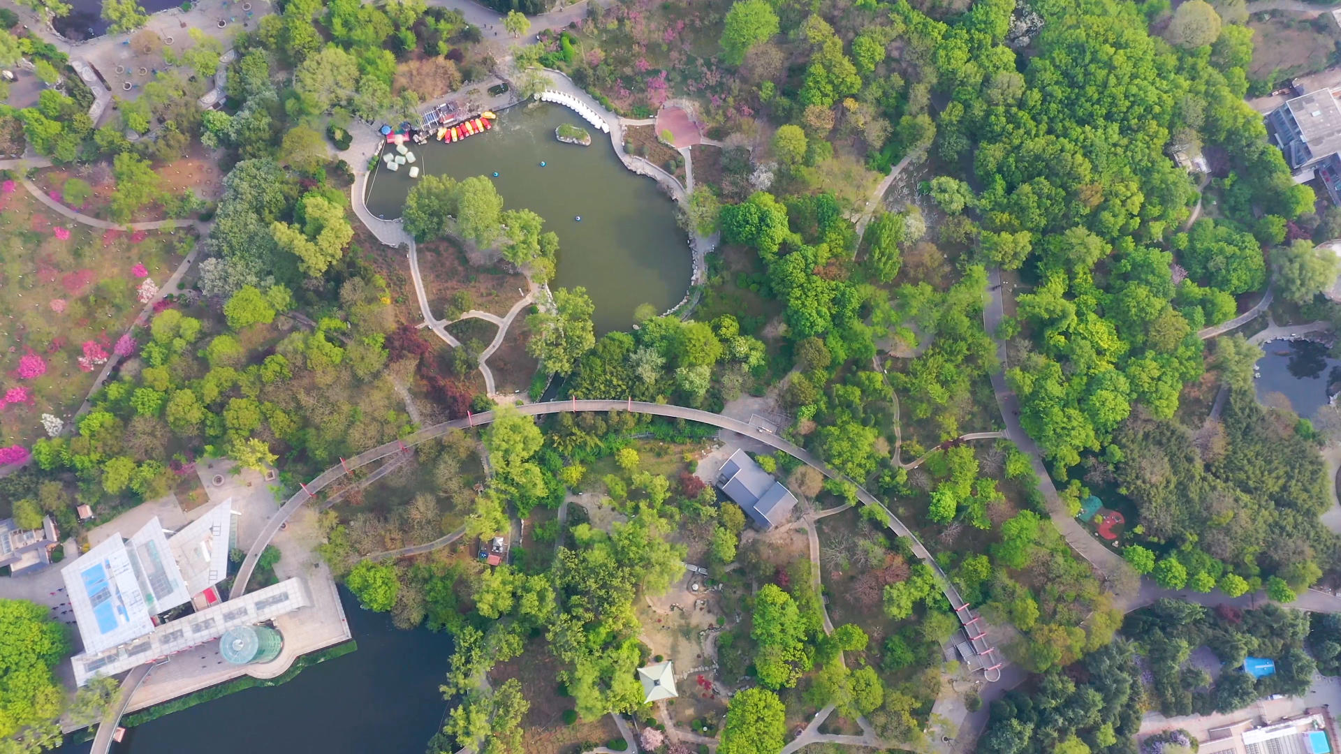 城市生态公园航拍视频的预览图