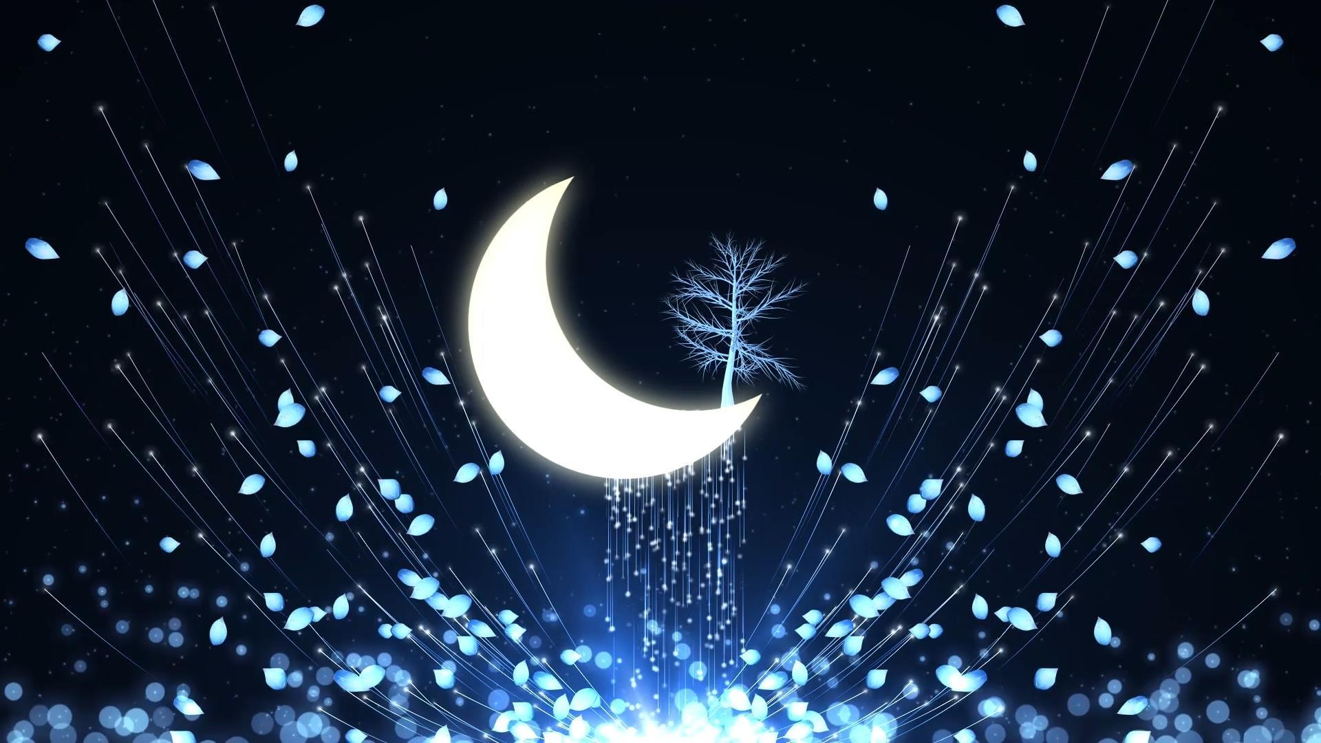 动态唯美月光粒子花瓣散发大气视频元素视频的预览图
