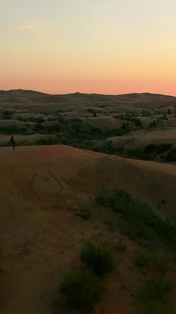 沙漠绿洲日出视频的预览图