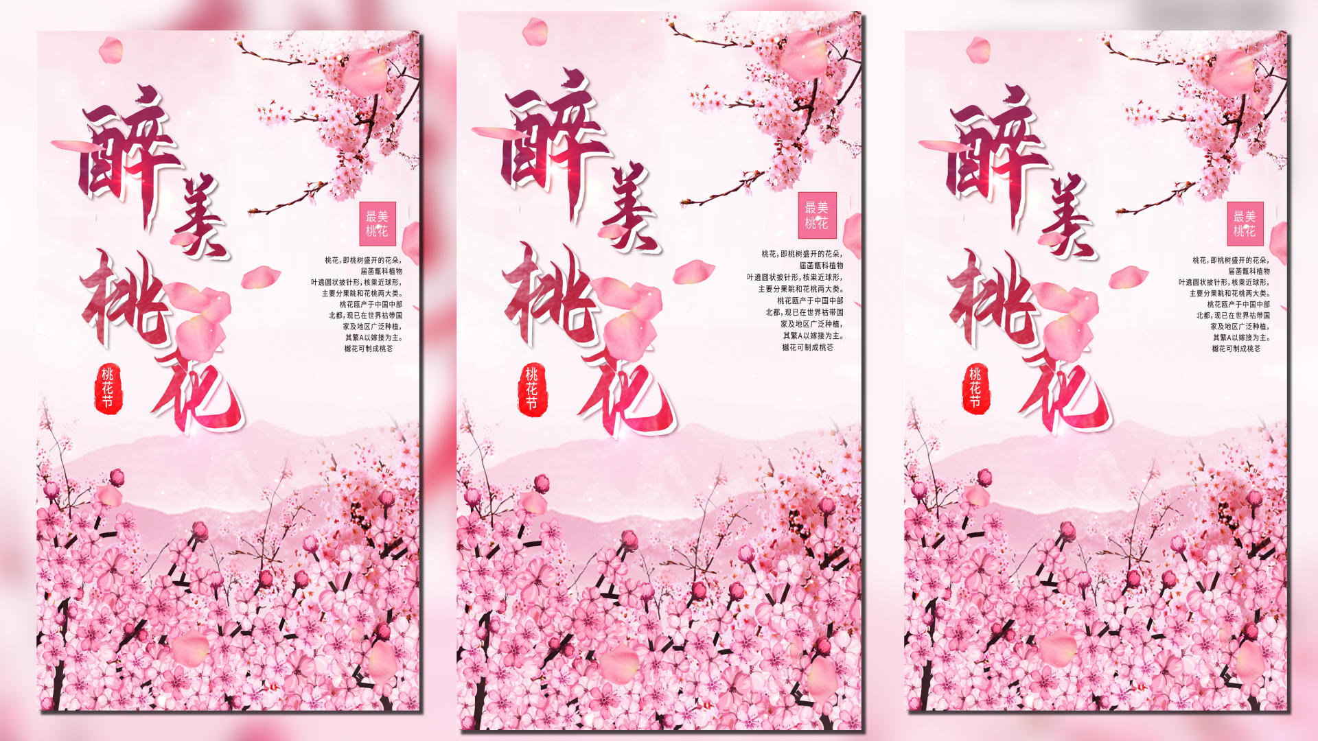 中国风粉色桃花节视频海报视频的预览图