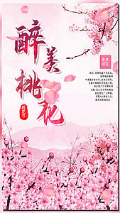 中国风粉色桃花节视频海报视频的预览图