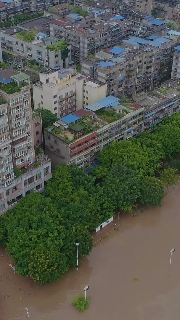 城市自然灾害洪水航拍视频的预览图
