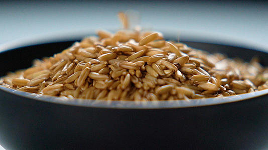 五谷杂粮健康饮食燕麦米落在碗里特写慢动作视频视频的预览图