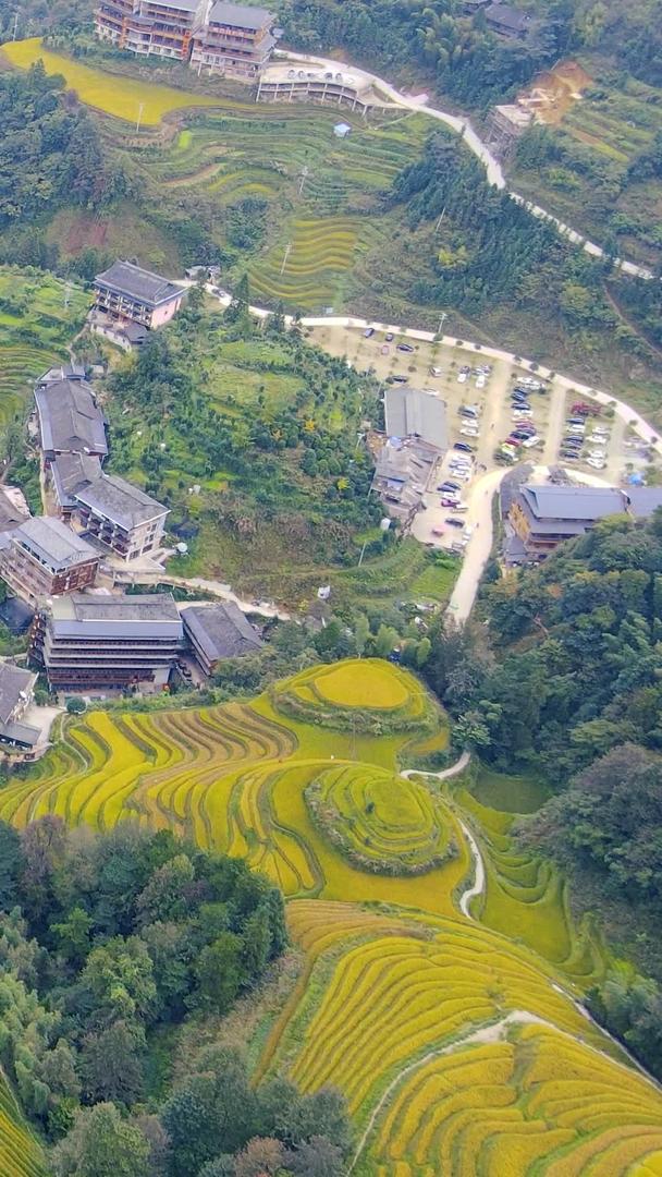 喀斯特地貌龙脊梯田航拍视频的预览图