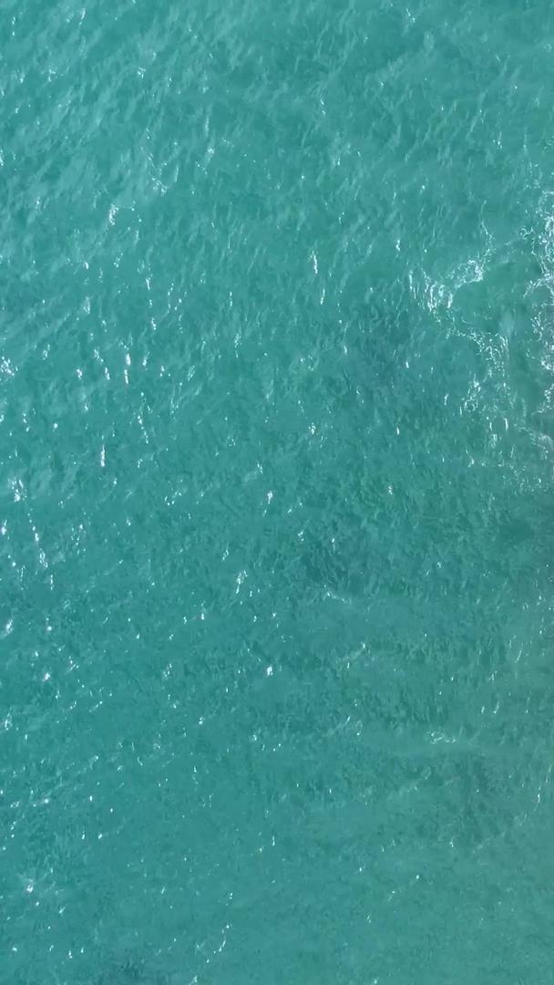 航拍分界洲岛地标海心岛海风吹椰林视频的预览图