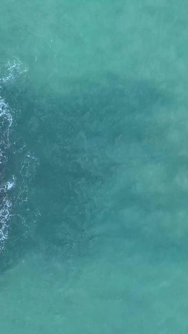 航拍分界洲岛地标海心岛海风吹椰林视频的预览图