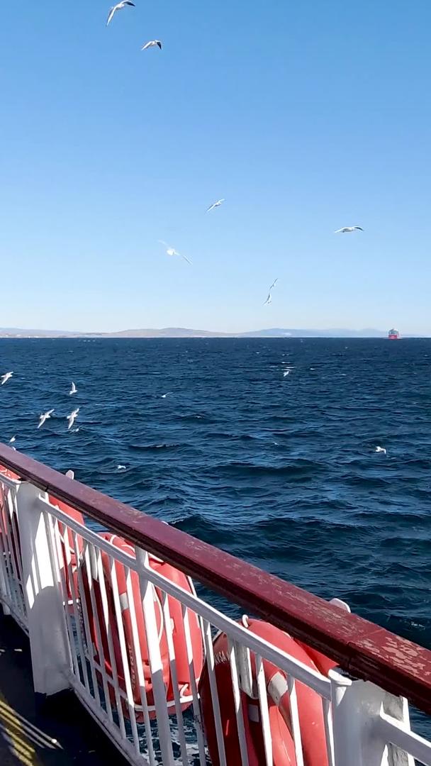 跨海游轮在海上漫天飞舞的海鸥视频素材视频的预览图