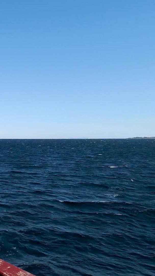 跨海游轮在海上漫天飞舞的海鸥视频素材视频的预览图