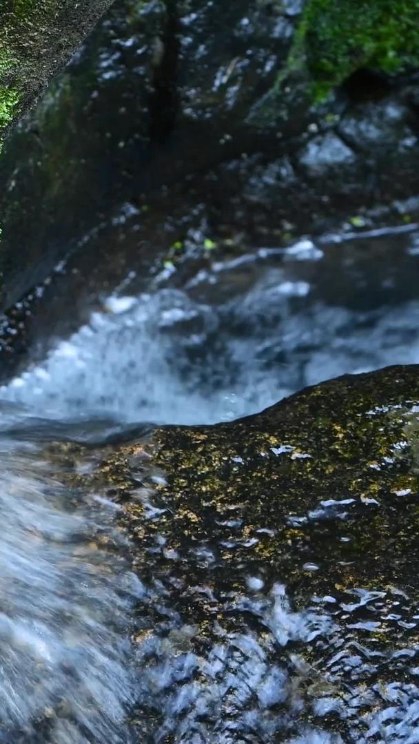 夏天山涧小溪溪流视频的预览图
