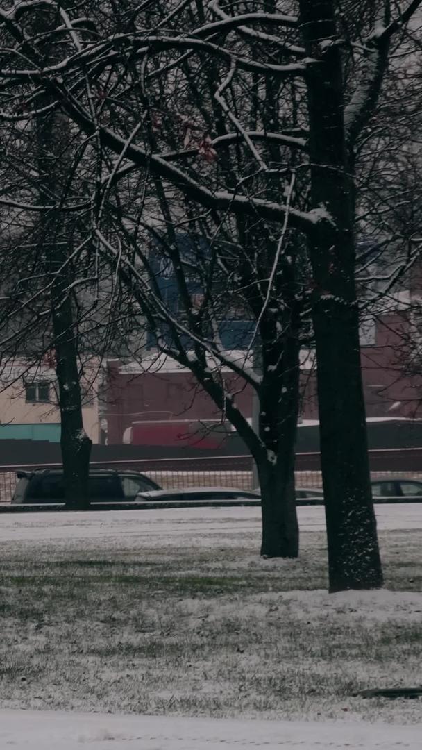 冬季下雪天欧洲城市交通工具电车视频的预览图