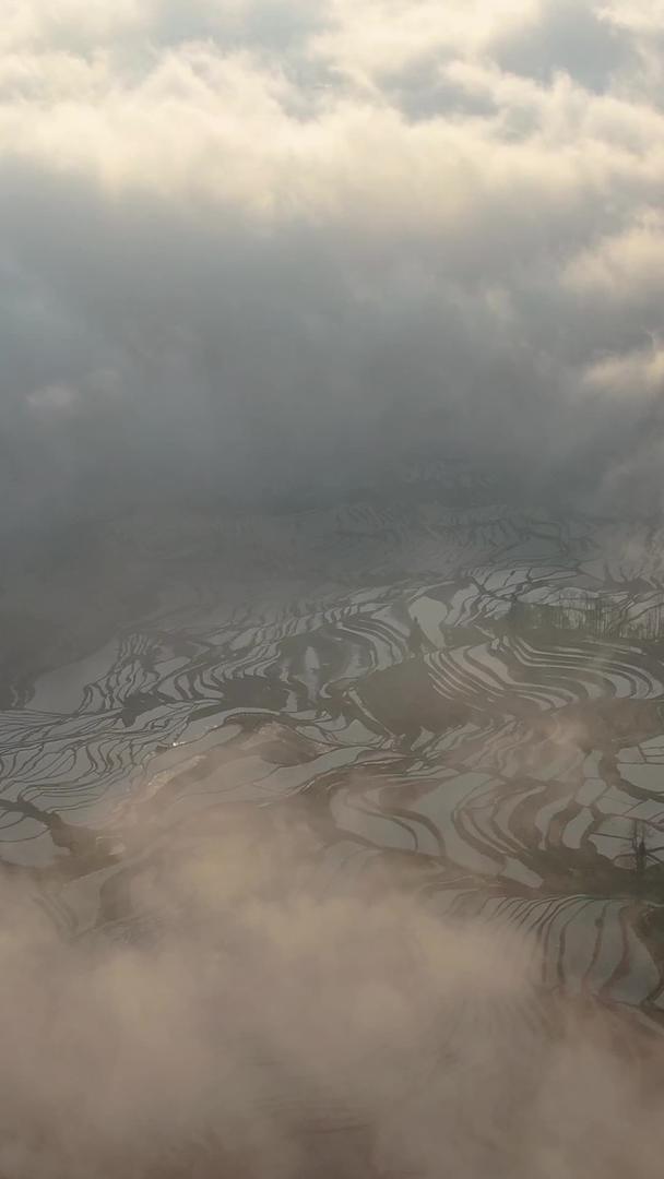 红河哈尼族日出云海下的梯田风光航拍世界文化遗产视频的预览图