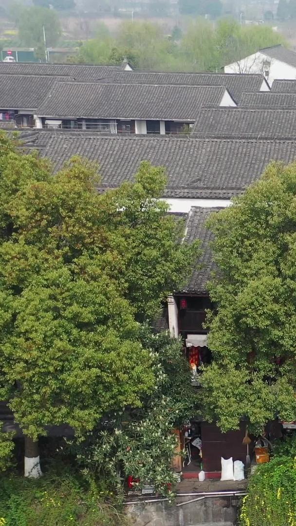 浙江省杭州塘栖古镇步行街视频的预览图