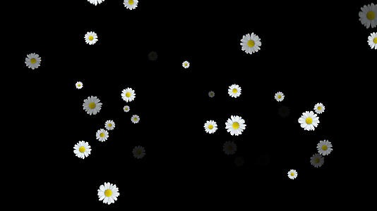 菊花粒子冲屏视频的预览图
