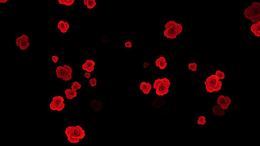 玫瑰花粒子冲屏视频的预览图