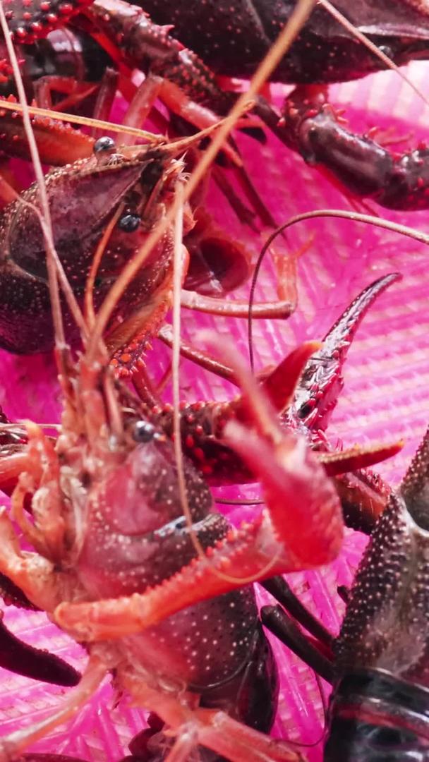 新鲜小龙虾实拍视频视频的预览图