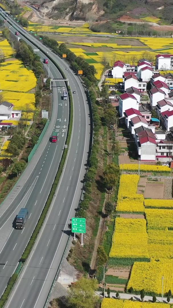 高速公路穿过盛开的油菜花田视频的预览图