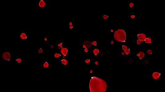 红色玫瑰花瓣粒子冲屏视频的预览图