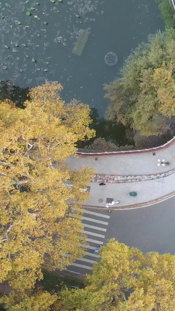 航空摄影大学校园秋季交通路口道路素材视频的预览图