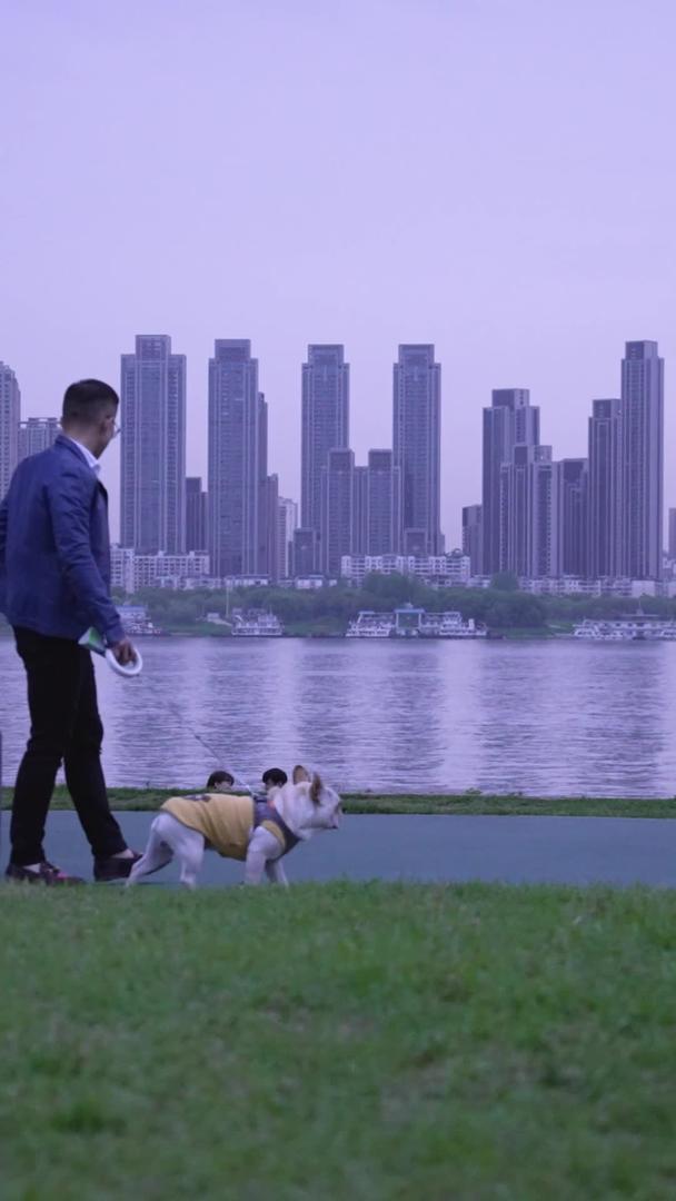 材料慢镜头升级拍摄城市江滩街景拖着行李箱遛狗的男人视频的预览图