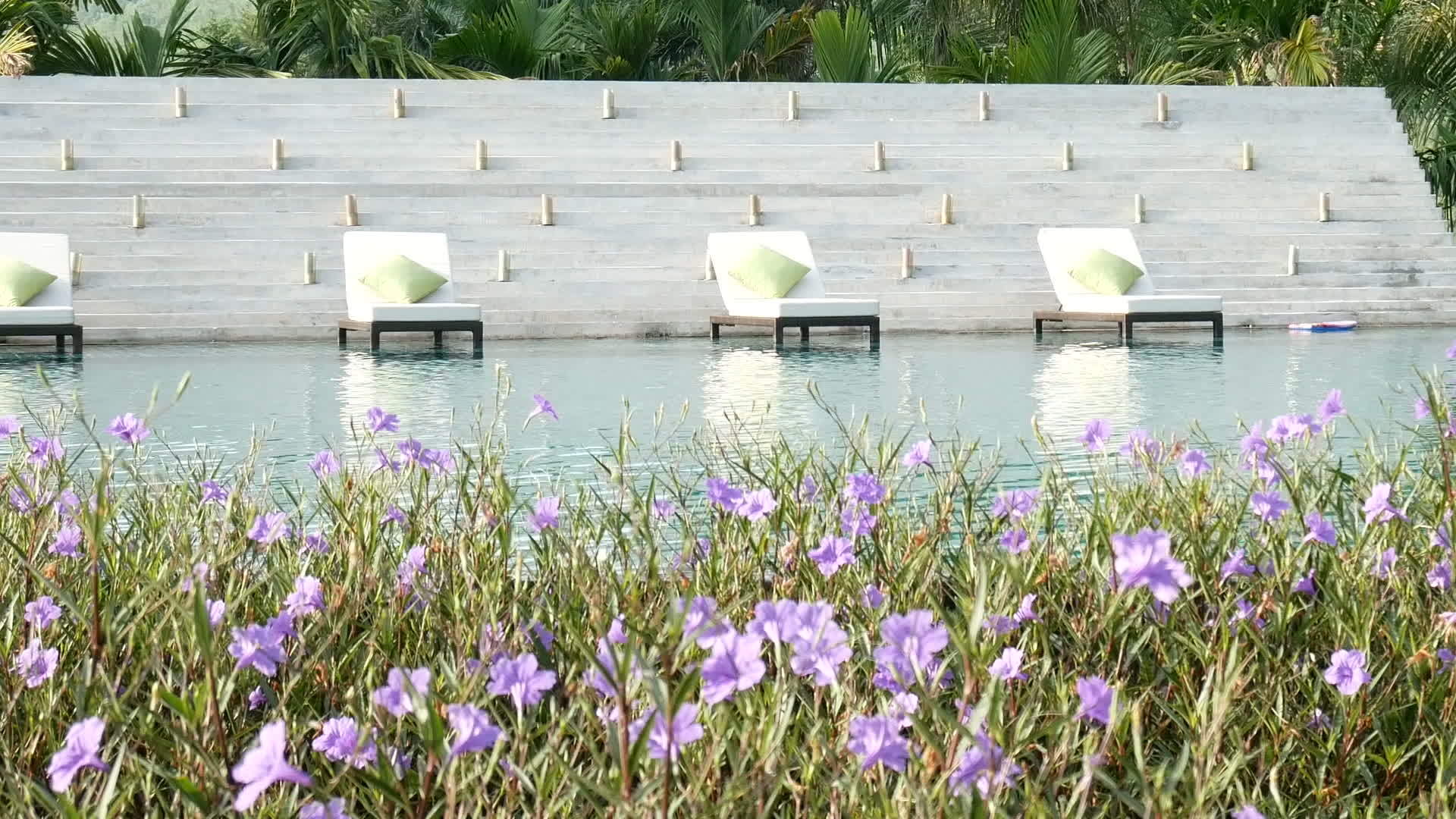 游泳池附近的躺椅背景是绿树和美丽的花朵视频的预览图