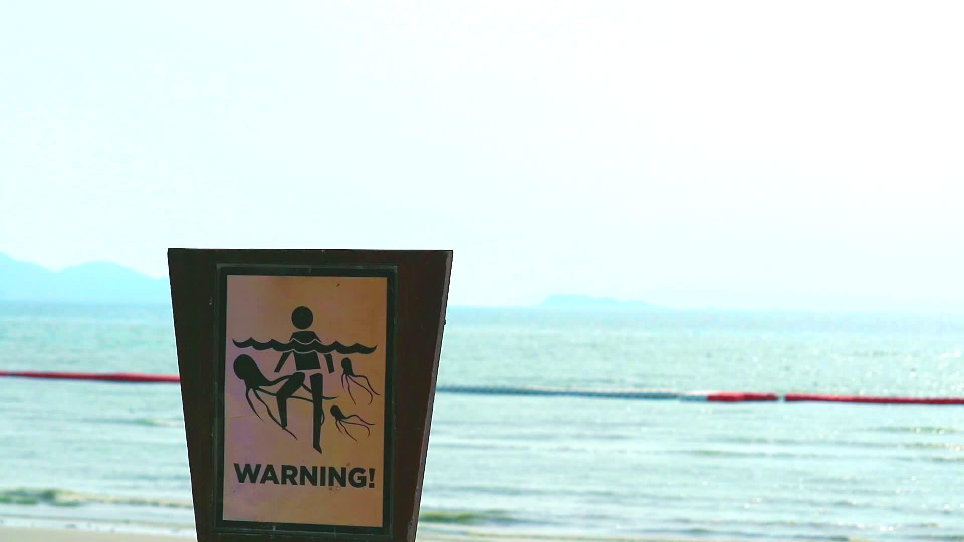 在水中游戏时警告人们注意果冻鱼视频的预览图