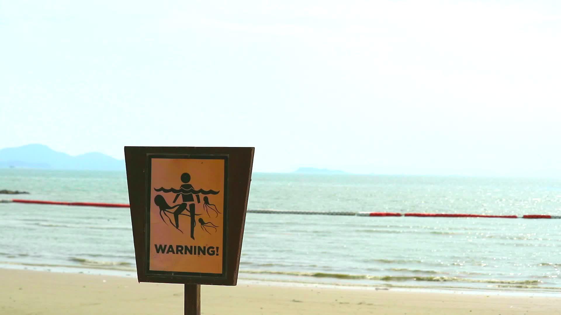 在水中玩耍时要小心果冻鱼的警告标志视频的预览图