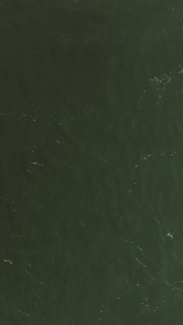 航空摄影师在江中游泳视频的预览图