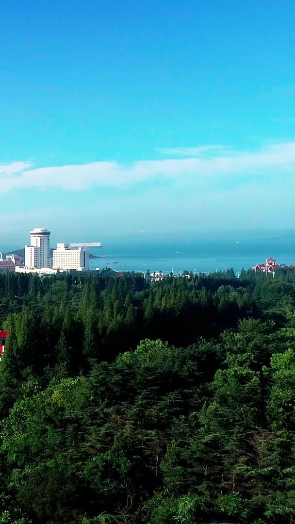 青岛中山公园高清航拍郁郁葱葱视频的预览图