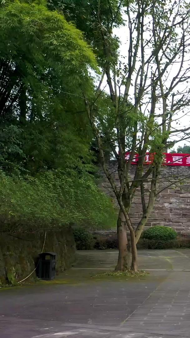 重庆云阳三峡文物园南熏门古城景区视频的预览图