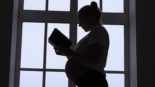 怀孕女孩的轮廓视频的预览图