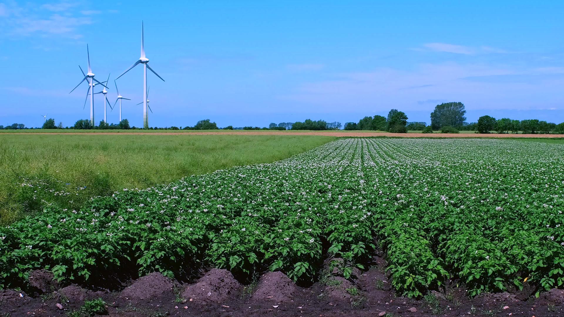 风力涡轮机绿色能源视频的预览图