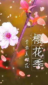 唯美浪漫樱花季樱花节视频海报竖版小视频视频的预览图
