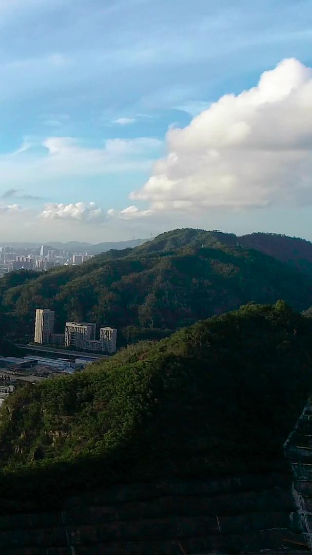 深圳南山蛇口建筑群视频的预览图