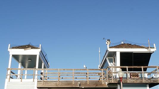 码头有救生塔的海鸥加里福尼亚州usa守望塔小屋和蓝天视频的预览图