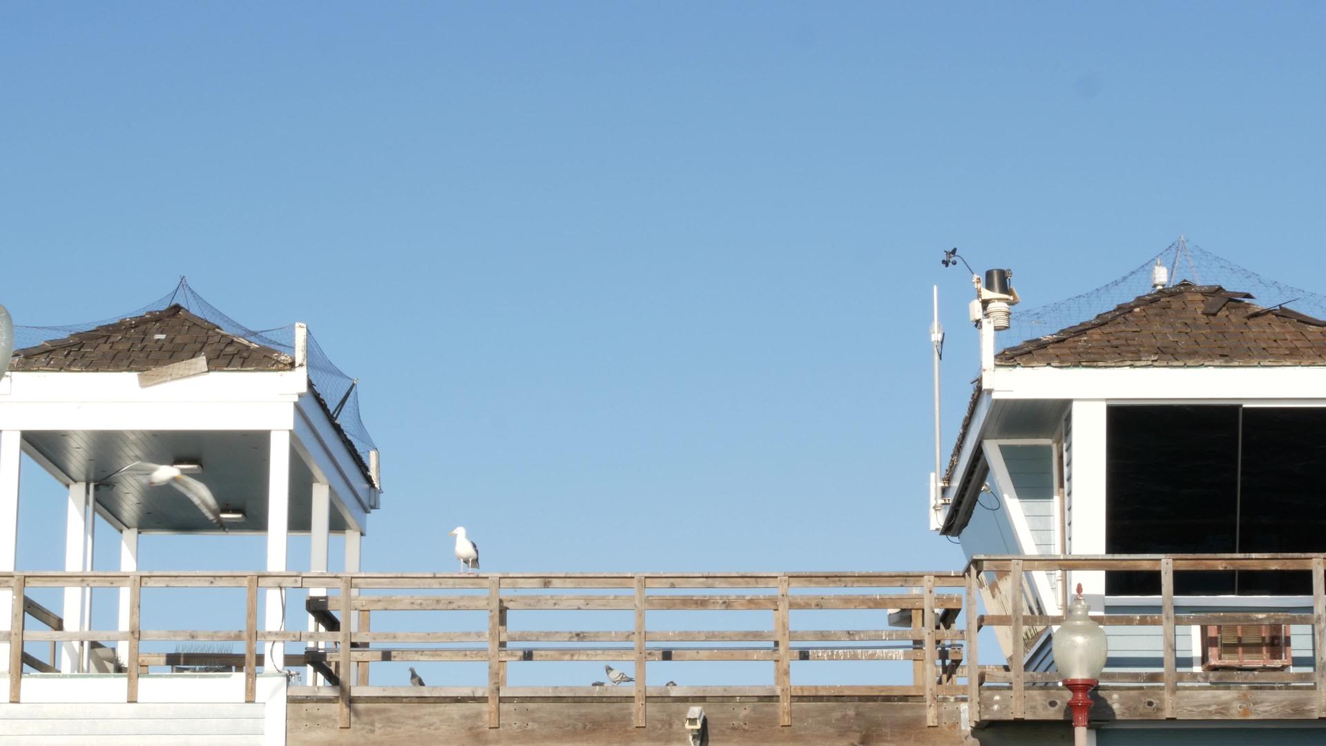 救生塔在码头的海站视频的预览图