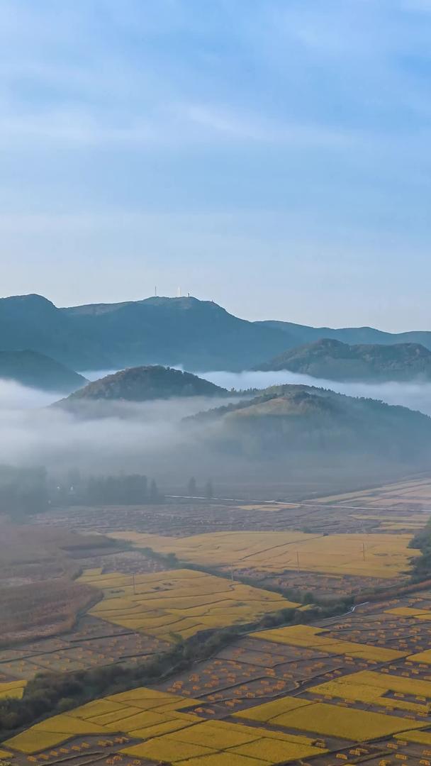 秋季山脉下延时航拍金黄稻田视频的预览图