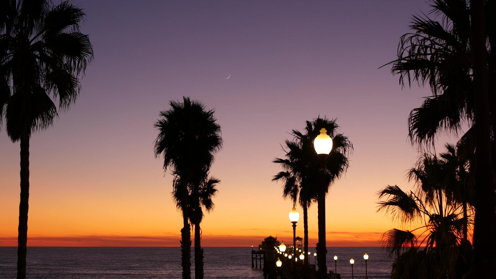 热带海滩日落的棕榈树和黄昏的天空带来浪漫的感觉视频的预览图