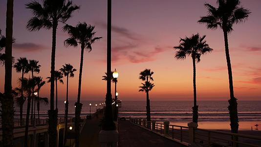 热带海滩日落的棕榈树和黄昏的天空带来浪漫的感觉视频的预览图