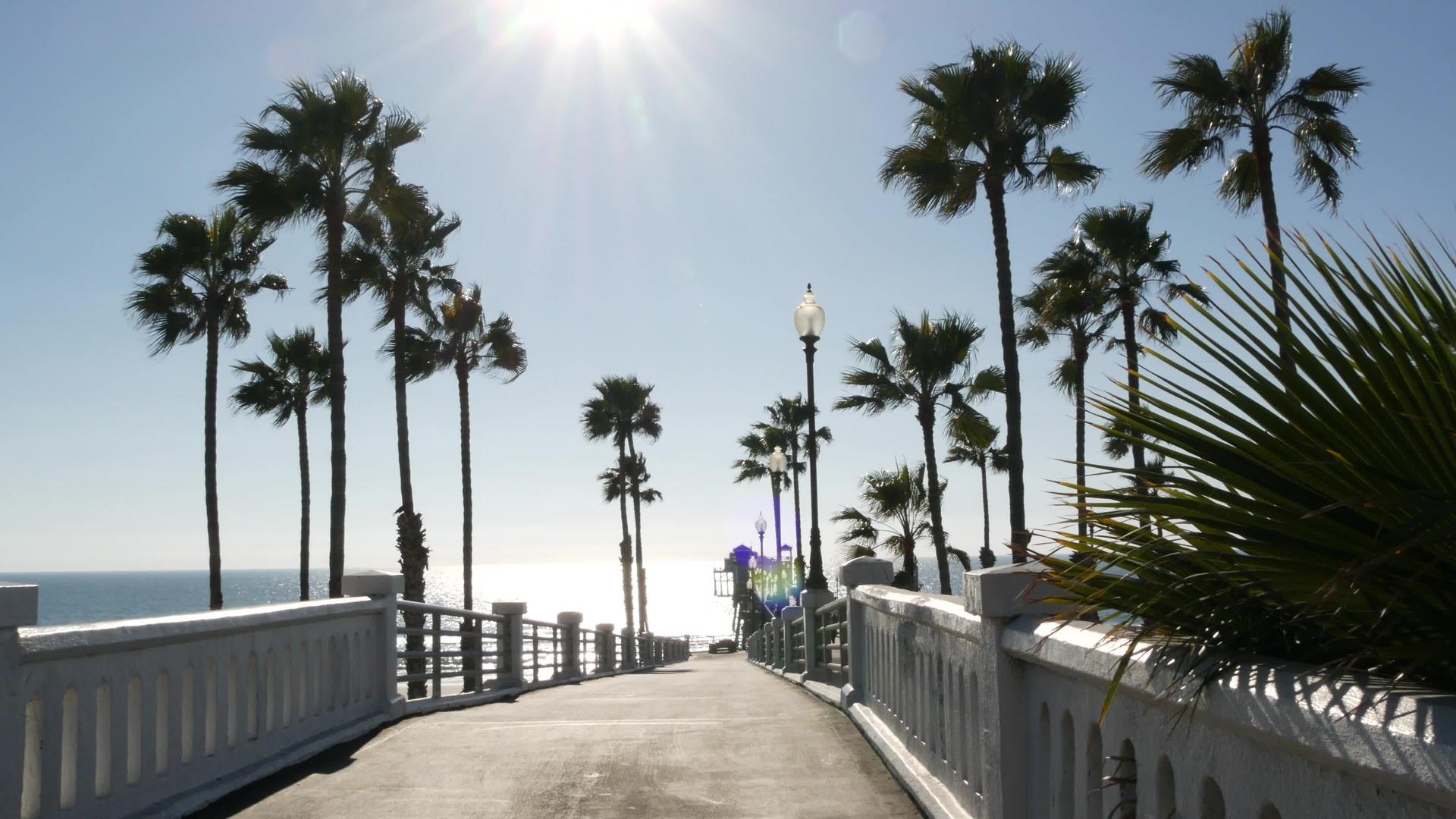 棕榈树和码头热带海洋海滩视频的预览图