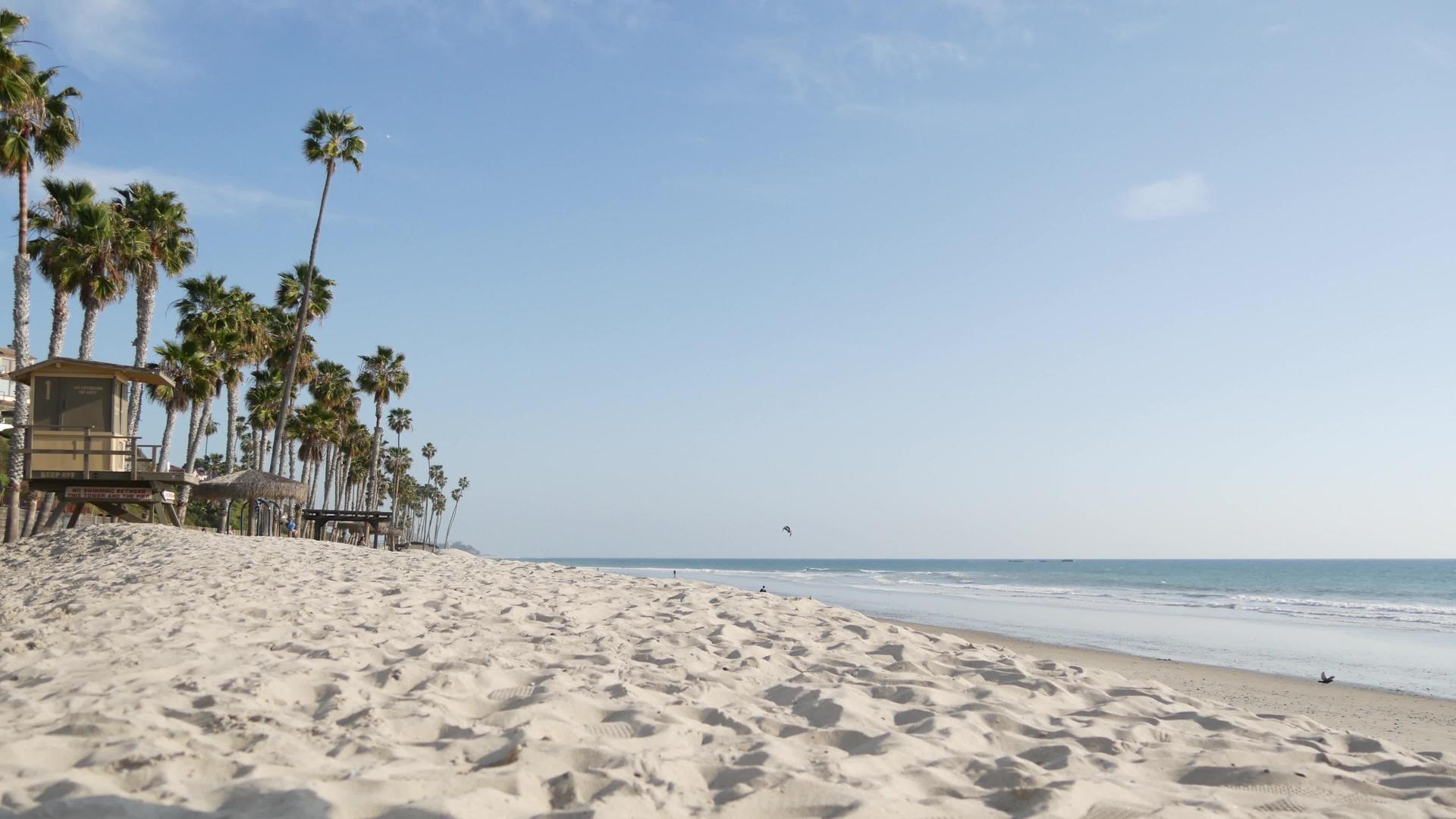加里弗尼亚海岸的白色沙滩上的棕榈树救生塔望塔小屋视频的预览图