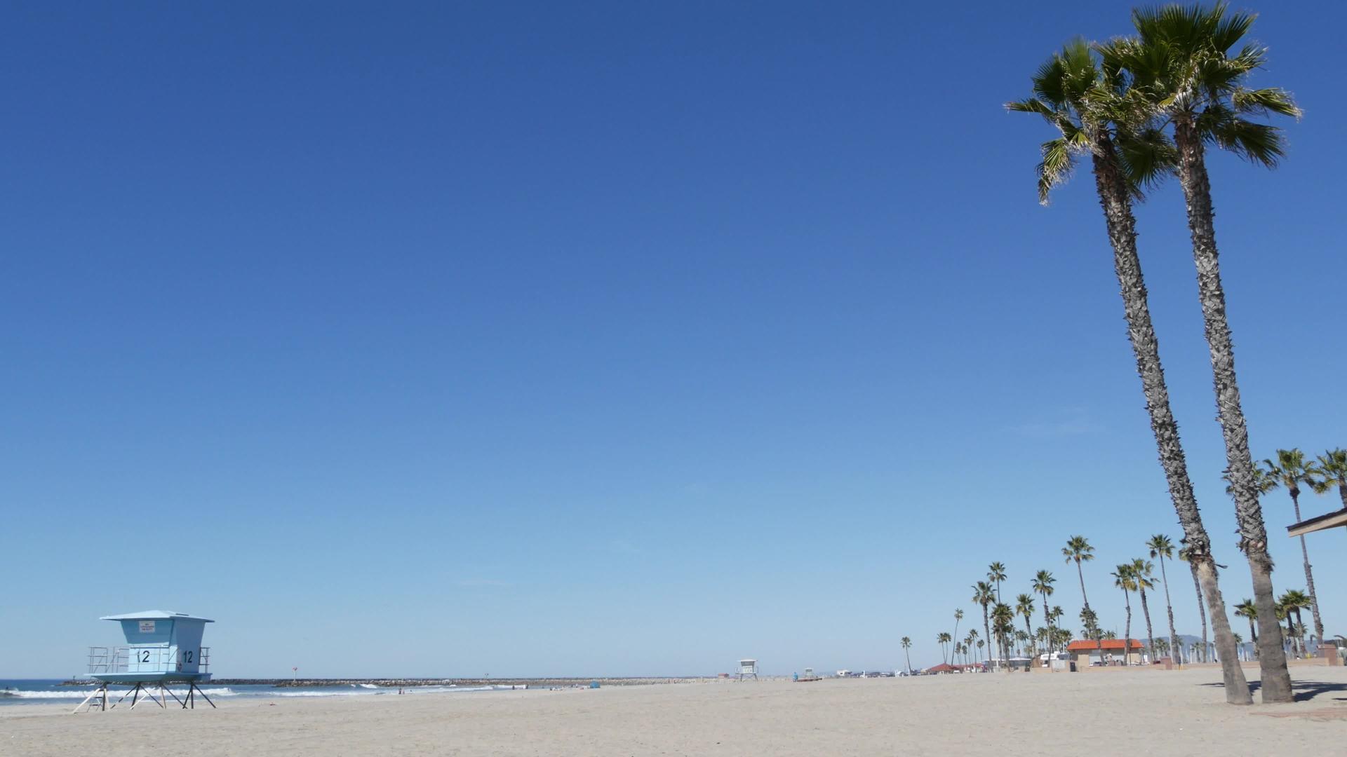 白色海滩上的棕榈树加里弗尼亚海岸视频的预览图