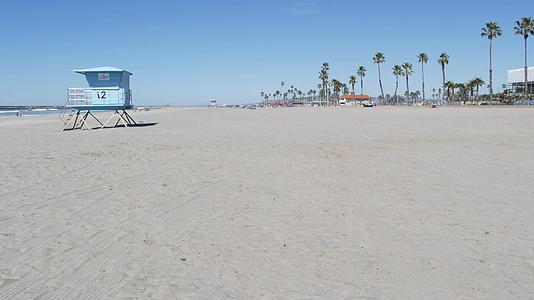 棕榈树在白色的沙滩上视频的预览图