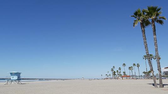 加里弗尼亚海岸的白色沙滩上的棕榈树救生塔望塔小屋视频的预览图