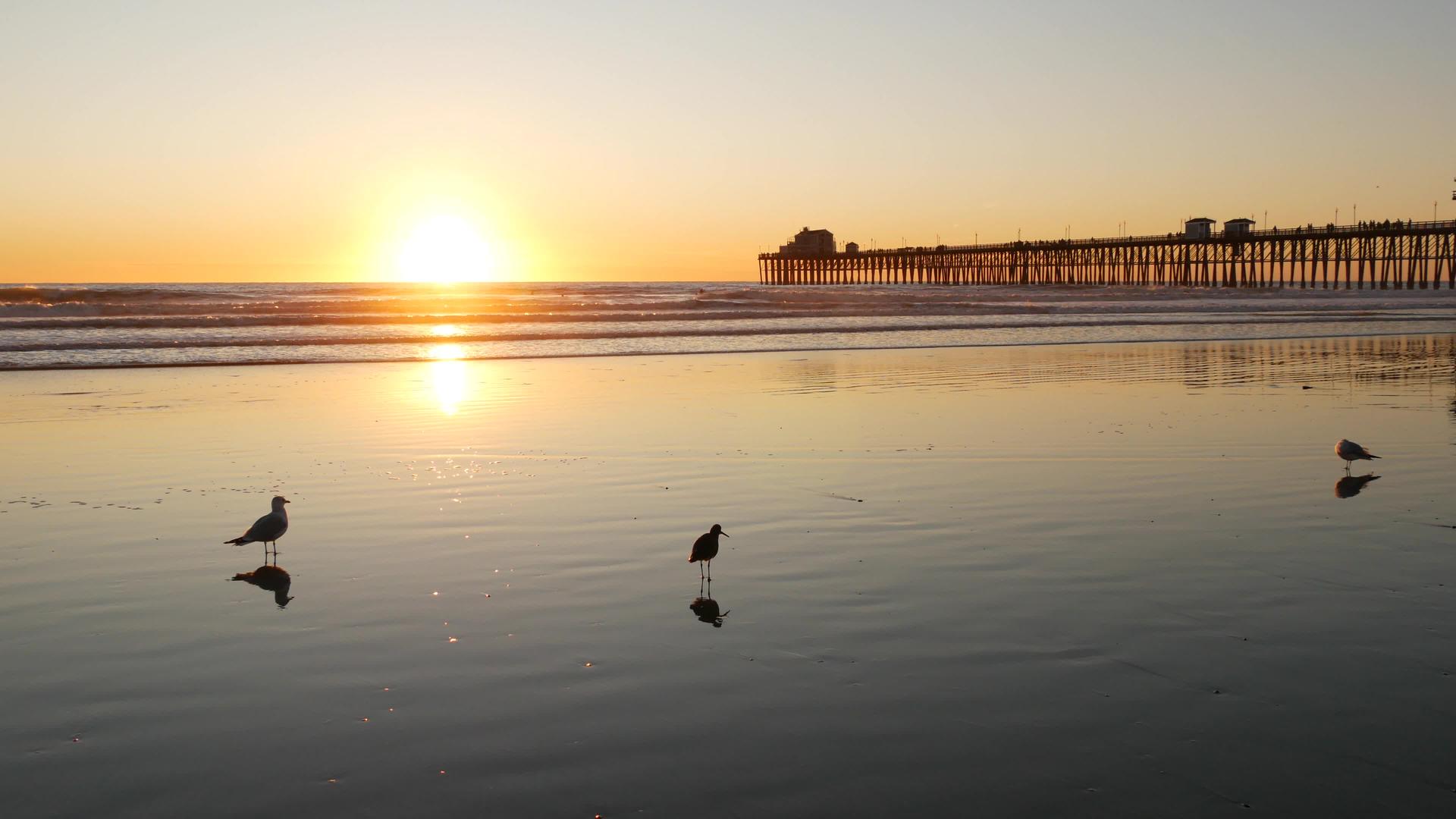 加州海边日落时视频的预览图