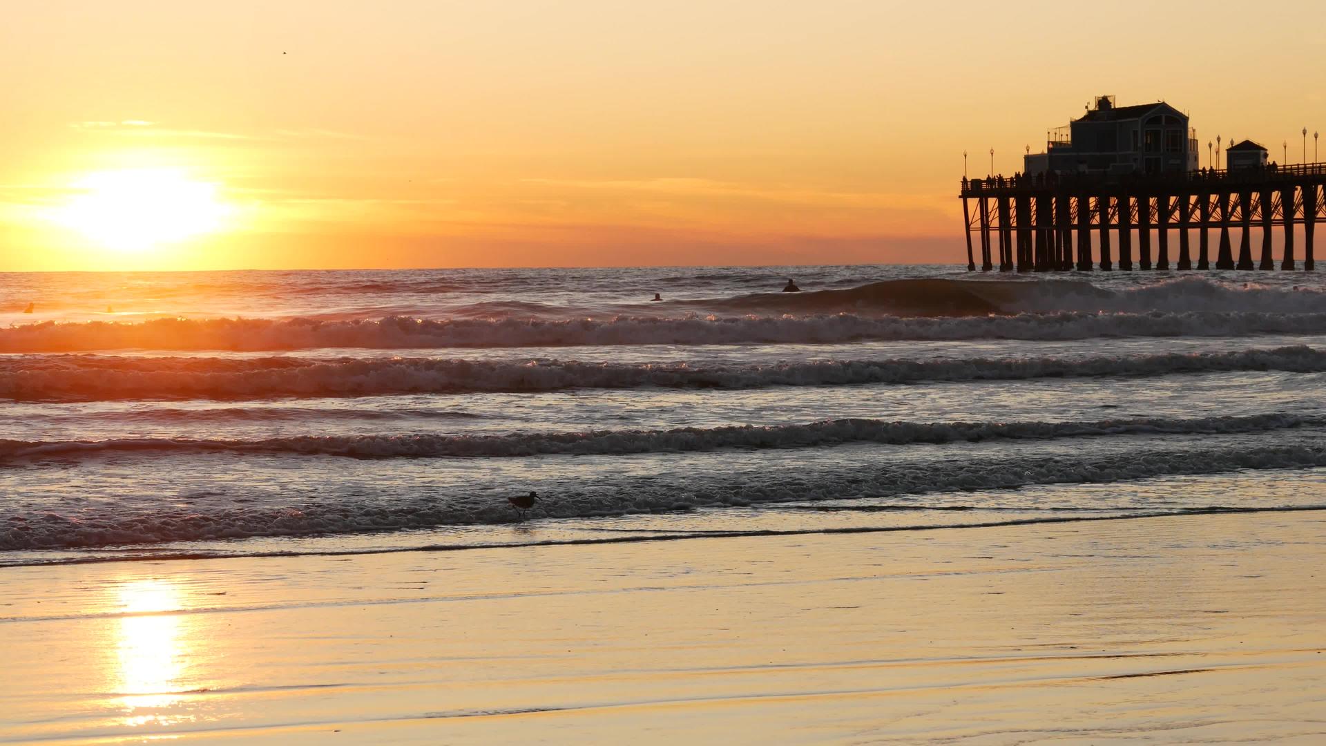 日落时的双光周加利福尼亚海边海洋热带海滩海鸥靠近海浪视频的预览图