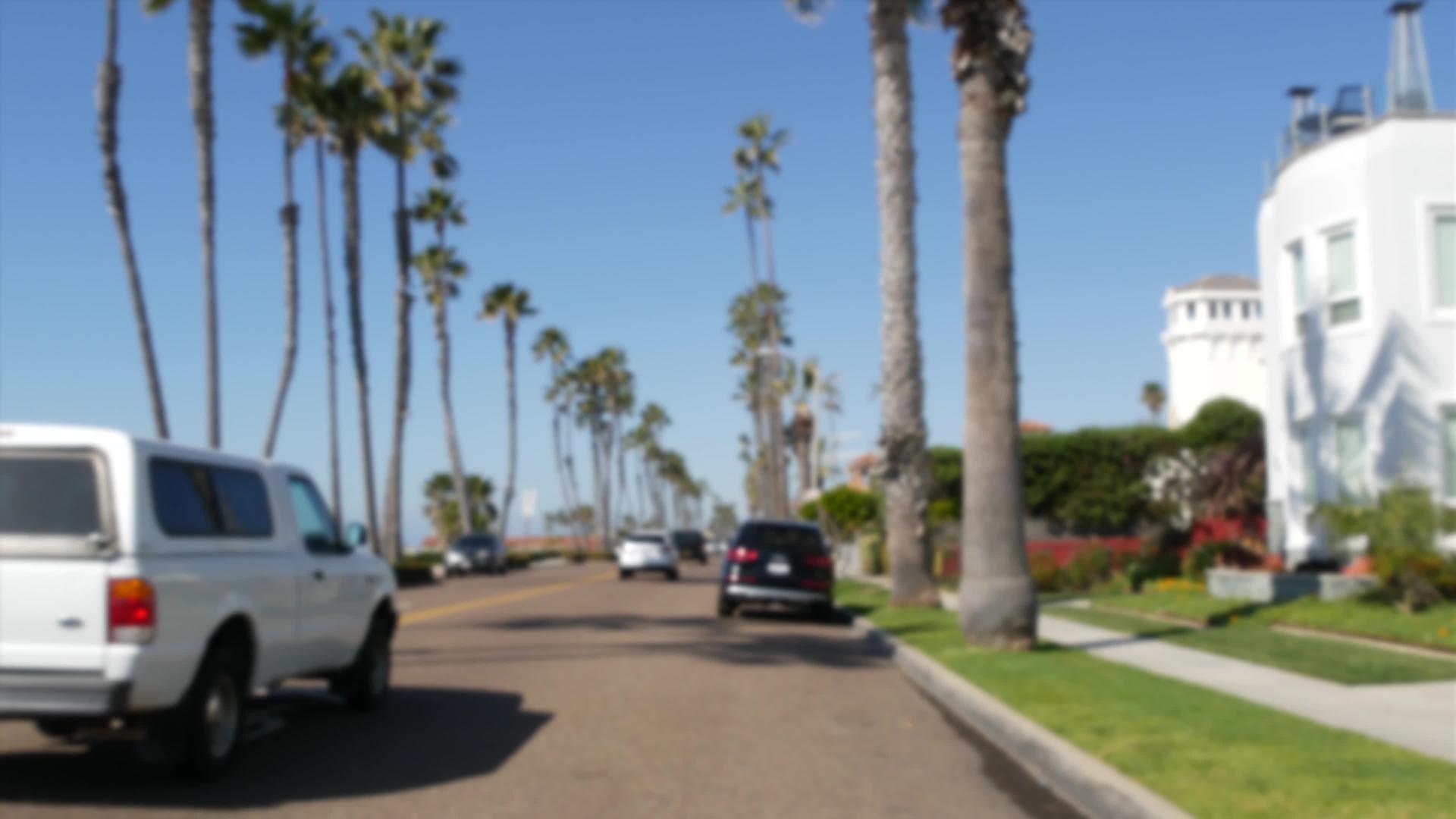 热带海洋海滩有棕榈树道路视频的预览图