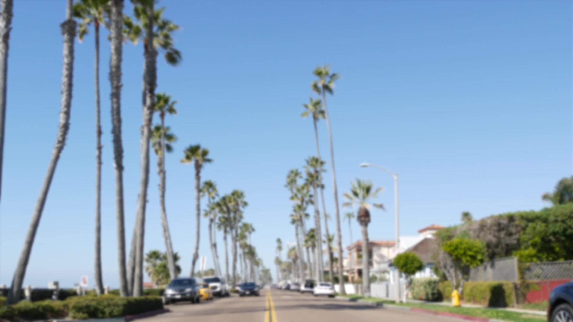 椰子树在海边的加州视频的预览图